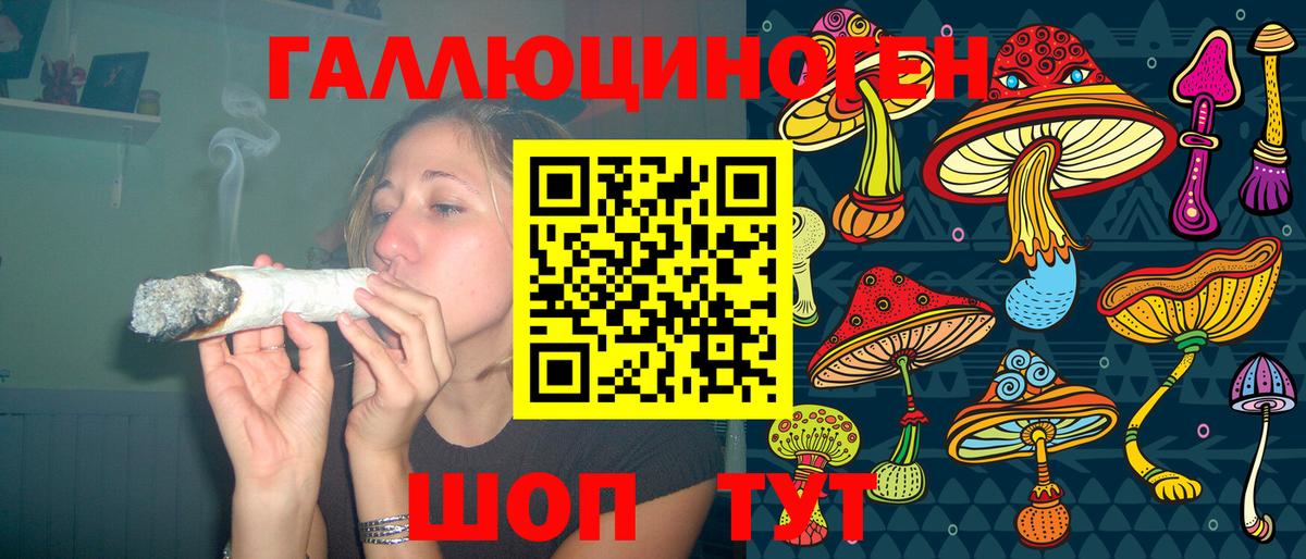 где купить наркоту  Галлюциногенные грибы GOLDEN TEACHER  Вход с VPN  Галлюциногенные грибы GOLDEN TEACHER  Грязи 